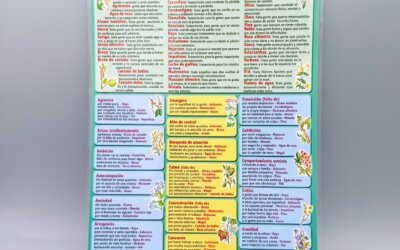 Ficha de Psicoterapia con Flores de Bach