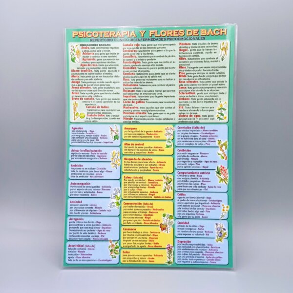 ficha-psicoterapia-flores-bach Ficha de Psicoterapia con Flores de Bach