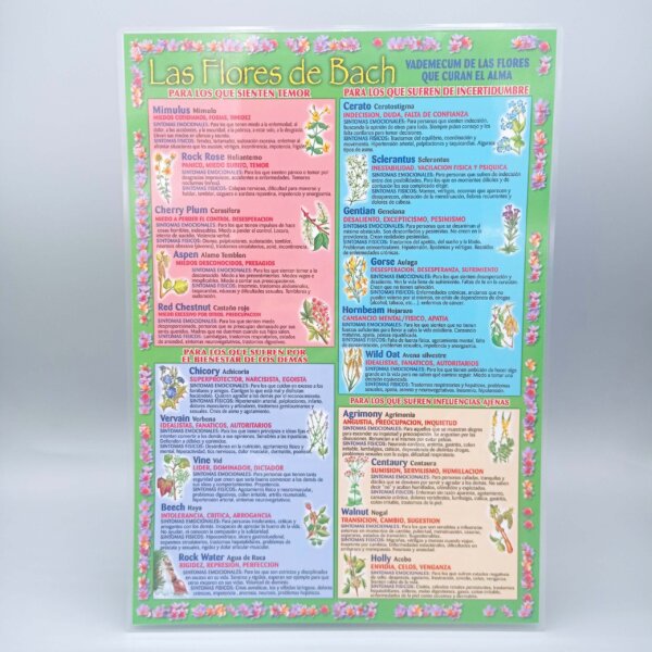 lamina-flores-bach-vademecum Lámina de Flores de Bach Vademecum