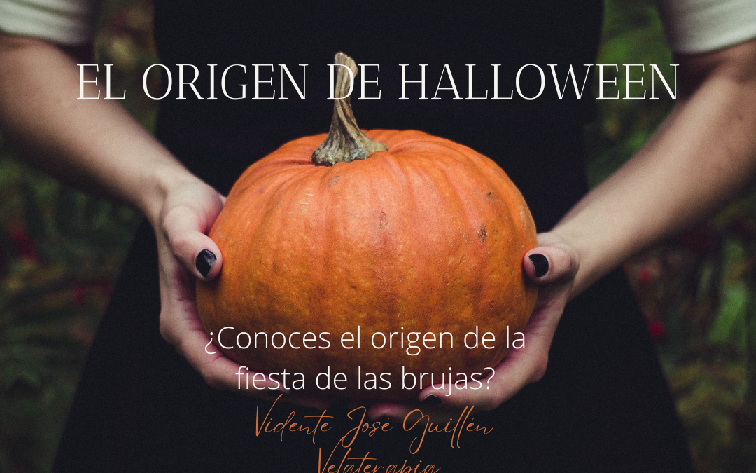 El Origen de Halloween. Ritual para la Noche de Halloween