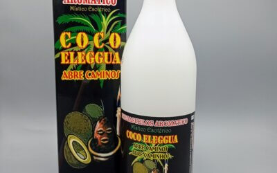 Fregasuelos de Coco Eleggua